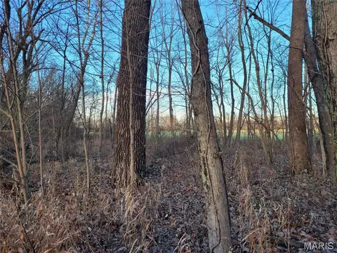 0 Bales Rd, Middletown, MO 63359 photo 27