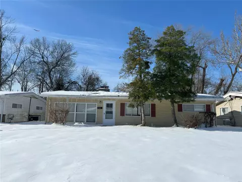 1125 Haley Ave, Saint Louis, MO 63121