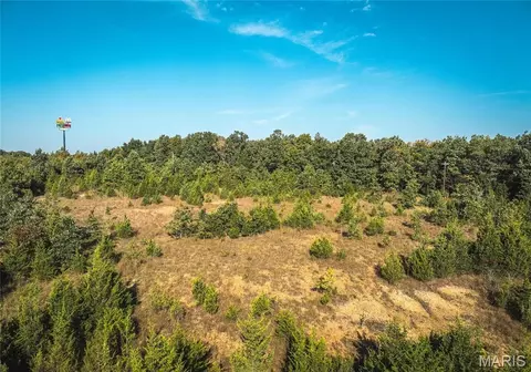 Other - 20 Acres Old Highway 66, Rolla, MO 65401 photo 9 of 11