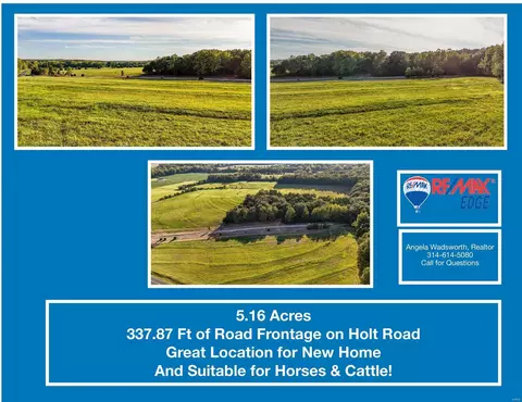 3739 Holt Rd - 516 Acres, Wentzville, MO 63385
