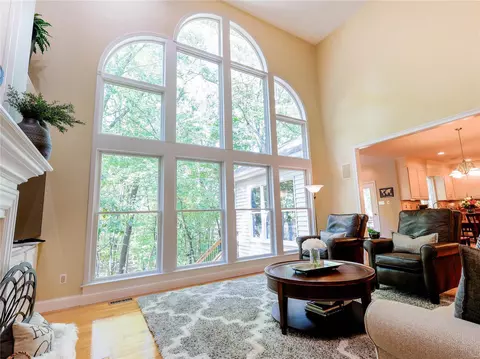 Living - 16335 Sheffield Point Ct, Wildwood, MO 63021 photo 3 of 4
