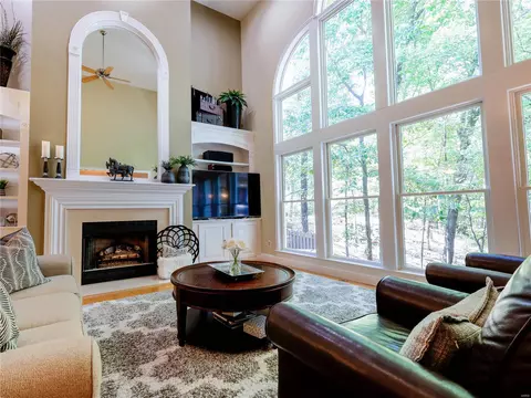 Living - 16335 Sheffield Point Ct, Wildwood, MO 63021 photo 1 of 4