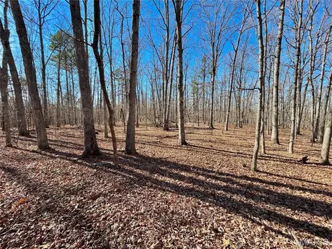 0 404 Acres County Road 5650, Bunker, MO 63629