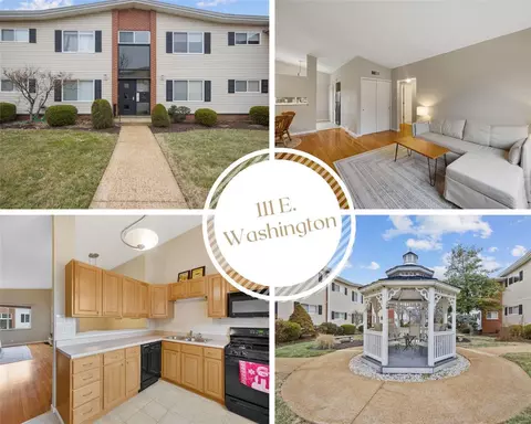 111 E Washington Ave #2N, Saint Louis, MO 63122