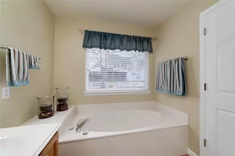 Bath - 110 Eagle Creek Ct, O'fallon, MO 63368 photo 1 of 3