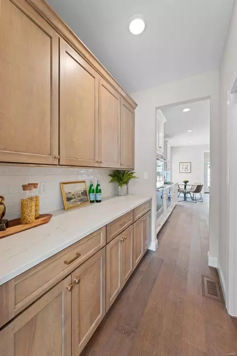 Entry Way - 237 E Jackson Rd, Webster Groves, MO 63119 photo 3 of 10