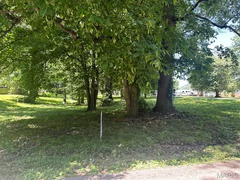 0 Lewis Albert St, Dexter, MO 63841