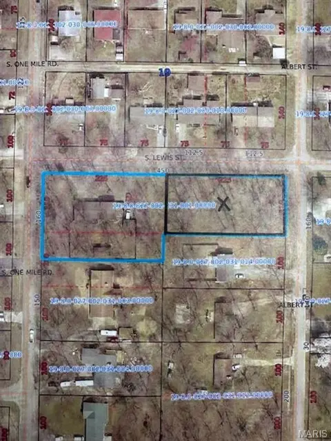 0 Lewis Albert St, Dexter, MO 63841 photo 5