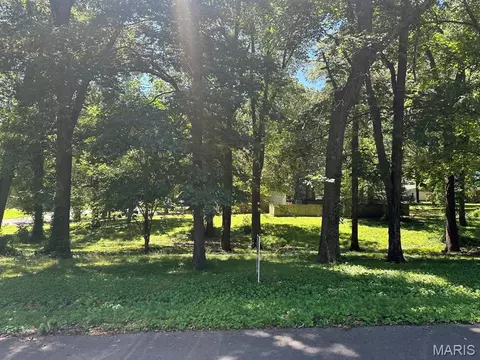 0 Lewis Albert St, Dexter, MO 63841 photo 3