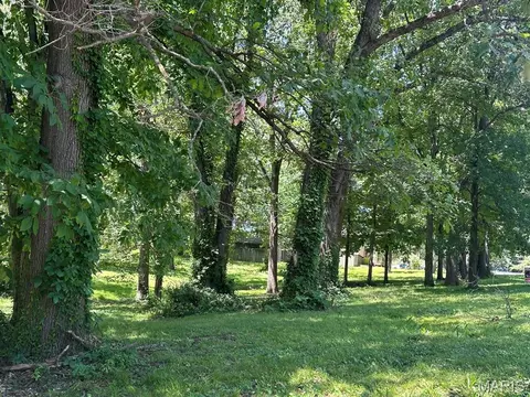 0 Lewis Albert St, Dexter, MO 63841 photo 2
