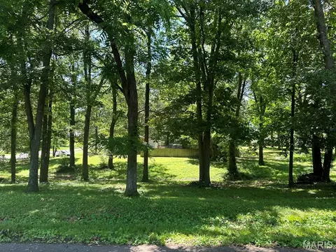 0 Lewis Albert St, Dexter, MO 63841 photo 4