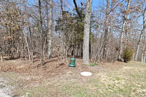 318 Conventry Pl, Festus, MO 63028 photo 1