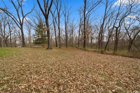 5 Forest View Ct, O'fallon, MO 63366 photo 24
