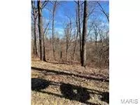 0 Hwy 79, Louisiana, MO 63353