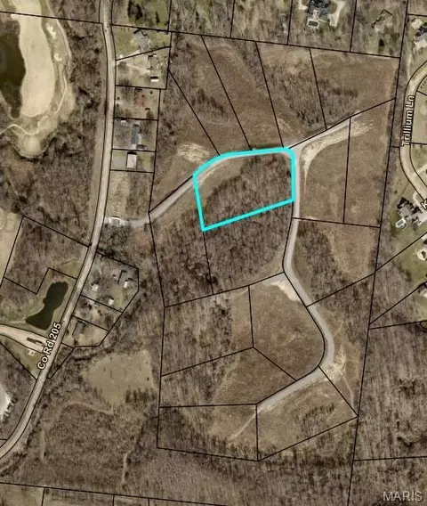 16 County Road 205, Cape Girardeau, MO 63701