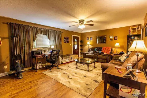 Living - 211 Elm, Bertrand, MO 63823 photo 2 of 2