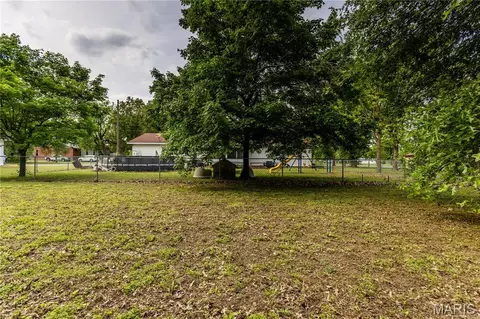 Exterior - 211 Elm, Bertrand, MO 63823 photo 11 of 15