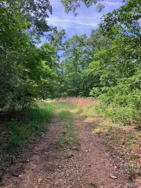 80 Reynolds Cr 362, Lesterville, MO 63654