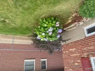 7401 Sharp Ave, Saint Louis, MO 63116 photo 36
