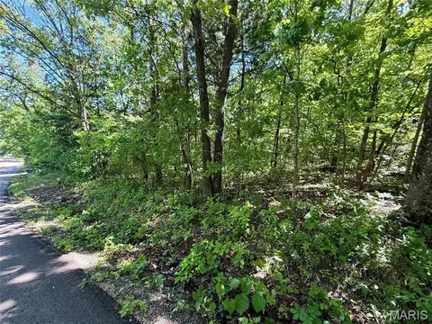 0 Cyclone Rd, Cadet, MO 63630 photo 5