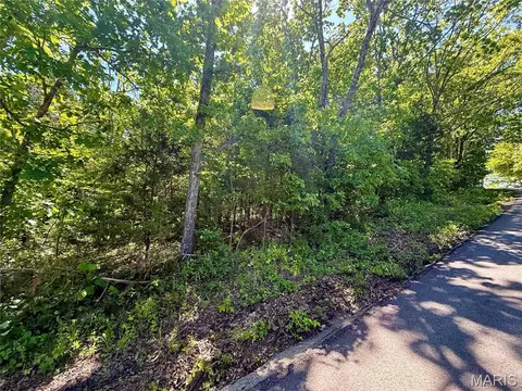 0 Cyclone Rd, Cadet, MO 63630 photo 3