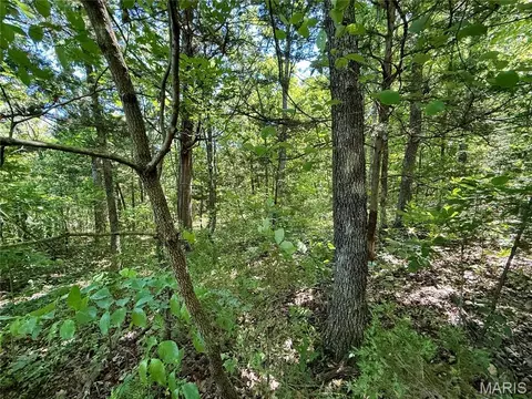 0 Cyclone Rd, Cadet, MO 63630 photo 4