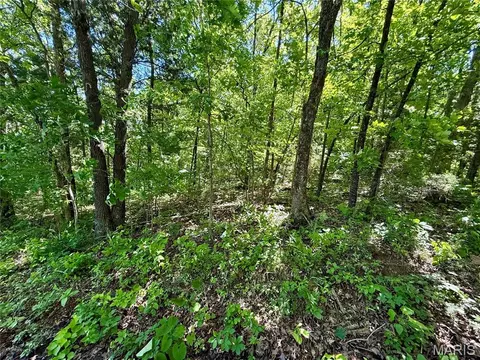 0 Cyclone Rd, Cadet, MO 63630