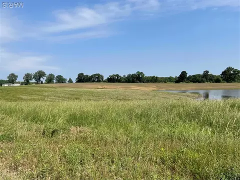 0 Tract 5 County Road 260262, Bloomfield, MO 63825
