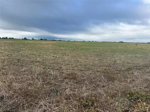 0 County Road 406, Hayti, MO 63851