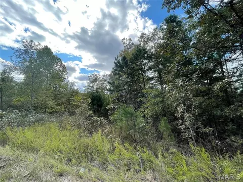13 Woodland Hts W, Poplar Bluff, MO 63901