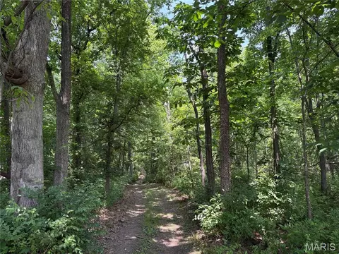 671 Birkhead Rd, Winfield, MO 63389 photo 5