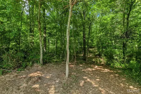 671 Birkhead Rd, Winfield, MO 63389 photo 10