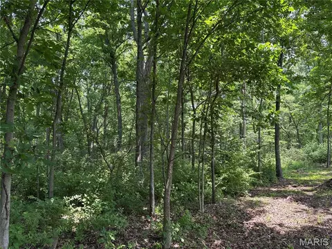 671 Birkhead Rd, Winfield, MO 63389 photo 16