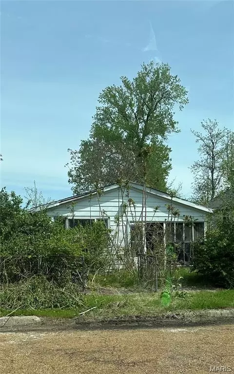 1225 Douglas St, Madison, IL 62060 photo 1