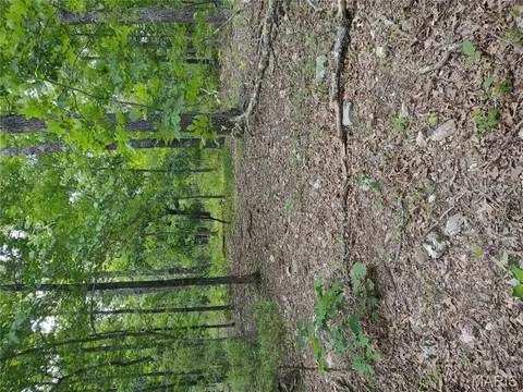 000 Berry Rd, Falcon, MO 65470 photo 7