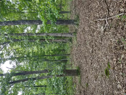 000 Berry Rd, Falcon, MO 65470 photo 9