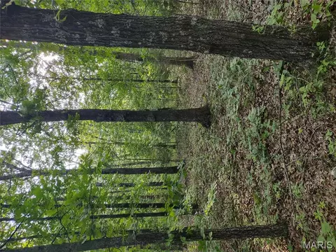 000 Berry Rd, Falcon, MO 65470 photo 6