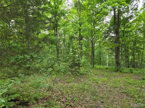 0 Mark Peterson Dr, Wright City, MO 63390