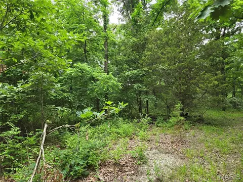 0 Mark Peterson Dr, Wright City, MO 63390 photo 3