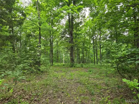 0 Mark Peterson Dr, Wright City, MO 63390 photo 5
