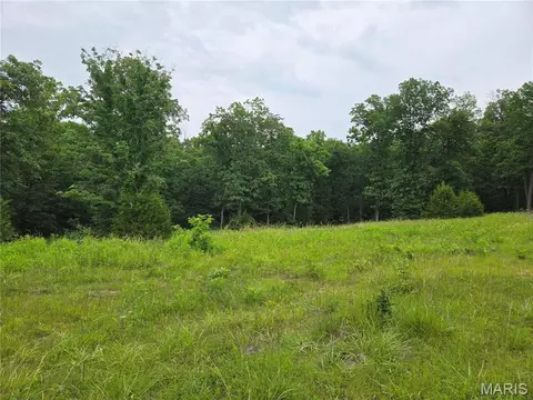 0 Mark Peterson Dr # -1, Wright City, MO 63390