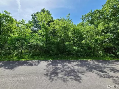 10312 Turkey Trail Dr, Hillsboro, MO 63050