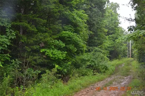 0 Old Cadet Rd, Bonne Terre, MO 63628