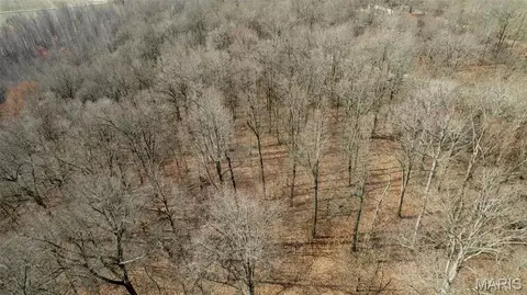 0 County Road 633, Dexter, MO 63841 photo 9