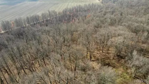 0 County Road 633, Dexter, MO 63841 photo 8