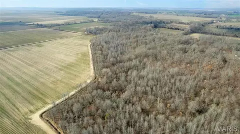 0 County Road 633, Dexter, MO 63841 photo 5