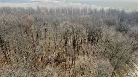 0 County Road 633, Dexter, MO 63841 photo 10