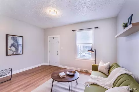 3848 Eiler, Saint Louis, MO 63116 photo 8