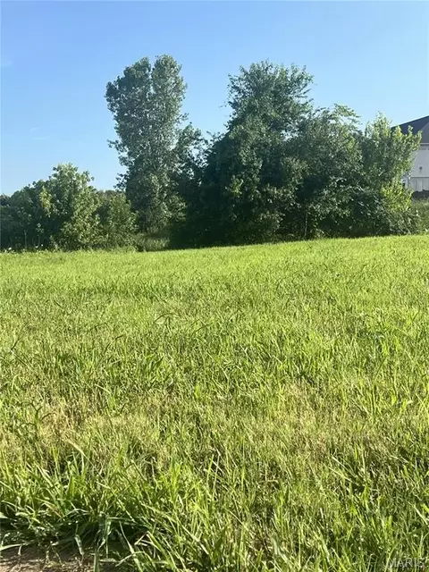 1393 Warren Lake Dr, Jackson, MO 63755 photo 5