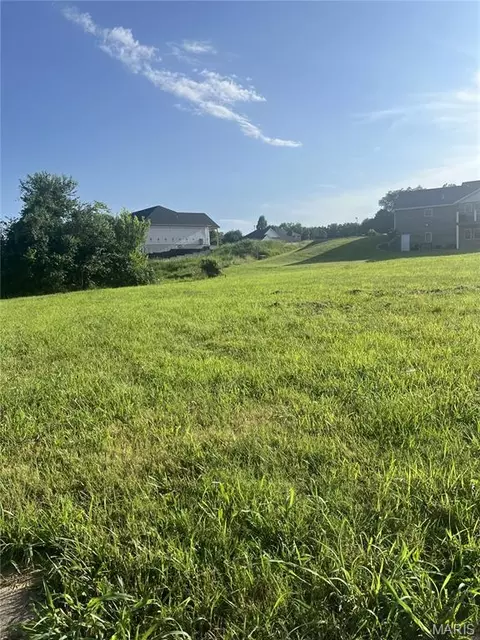 1393 Warren Lake Dr, Jackson, MO 63755 photo 3